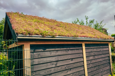 Add a green roof to your shed