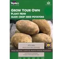 10 Cara Main Crop Seed Potatoes