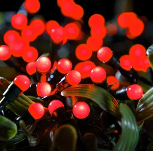 100 Fit & Forget Battery Operated Red Multifunction Berry Lights