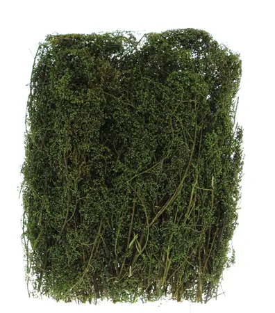 100grm Bag of Foam Moss