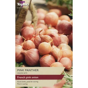 50 Pink Panther - Onion Set