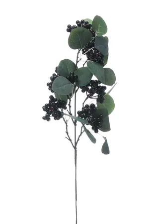 57cm Eucalyptus with Black Berries Pick