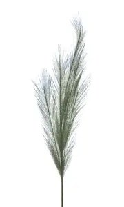 80cm Sage Green Pampas Grass Stem