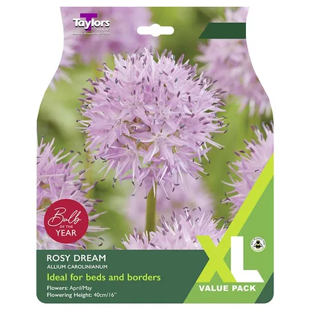 ALLIUM CAROLINIANUM ROSY DREAM - "Bulb of the Year"