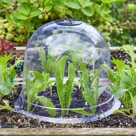 Bell Cloche 3-PK