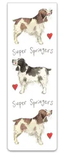 Bm01 Super Springers Bookmark