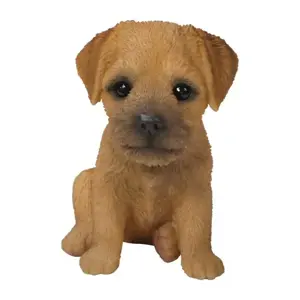 PP Border Terrier Pup