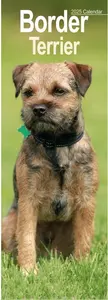 Border Terrier Slim Calendar 2025 (PFP)