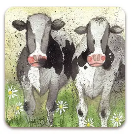 C34 Curious Cows Coaster