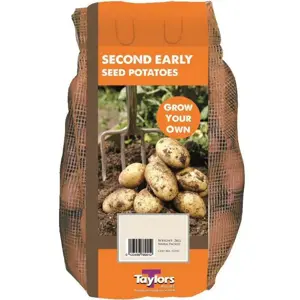 Potato Acoustic 35-55 2Kg