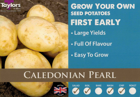 Potato Carripack Caledonian Pearl 35-55 2Kg