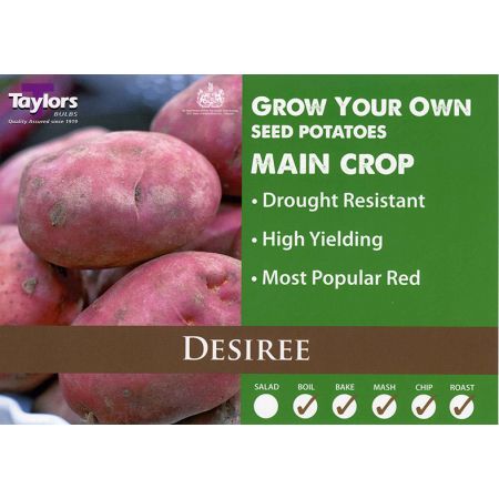 Potato Desiree 35-60 2Kg