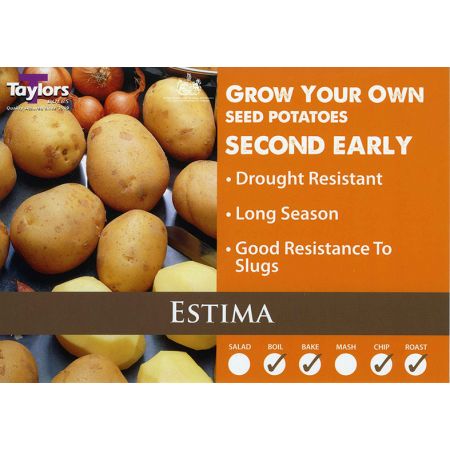 Potato Estima 35-55 2Kg