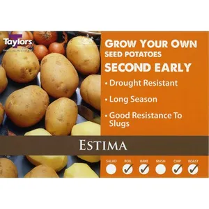 Potato Estima 35-55 2Kg