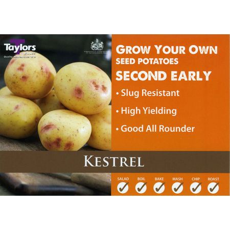 Potato Kestrel 35-60 2Kg