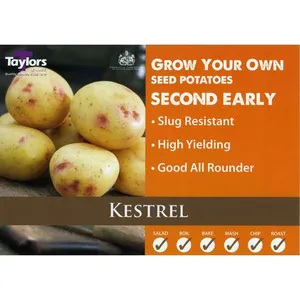 Potato Kestrel 35-60 2Kg