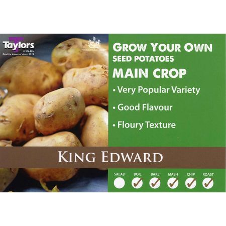 Potato King Edward 35-60 2Kg