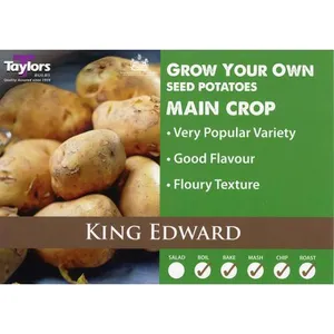 Potato King Edward 35-60 2Kg