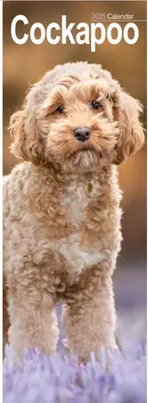 Cockapoo Slim Calendar 2025 (PFP)