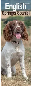 English Springer Spaniel Slim Calendar 2025 (PFP)