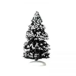 EVERGREEN TREE, MEDIUM