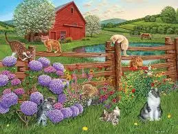 Farm Cats - image 3