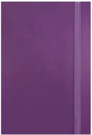 Fashion Diary Purple Soft Touch Pocket Diary 2025 (PFP)