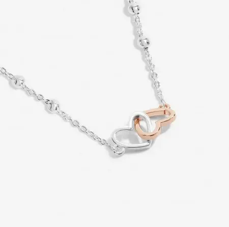 FOREVER YOURS NECKLACE | FABULOUS FRIEND | Silver and Rose Gold Plated | Necklace | 46cm + 5cm extender - image 3