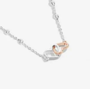 FOREVER YOURS NECKLACE | FABULOUS FRIEND | Silver and Rose Gold Plated | Necklace | 46cm + 5cm extender - image 3