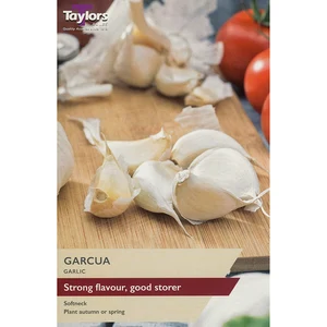 ‘Garcua’ Garlic (2 Bulbs)