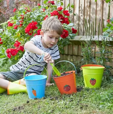 Gardening Bucket (Mixed case)