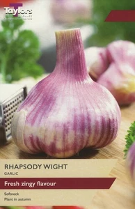 Garlic Rhapsody Wight P/P