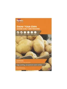 Gemson - Second Early Seed Potatoes