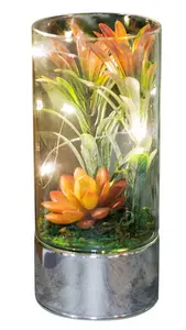 Glass Tube Terrarium with Artificial Succulents & LEDs 20cm