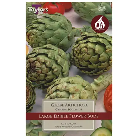 Globe Artichoke