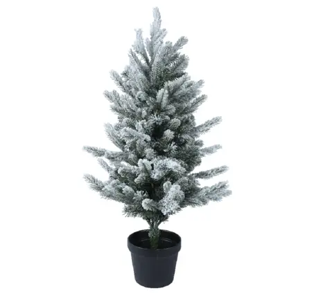 Grandis mini tree snowy indoor