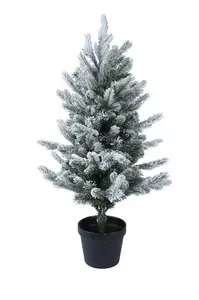 Grandis mini tree snowy indoor