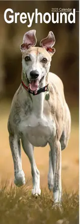 Greyhound Slim Calendar 2025 (PFP)