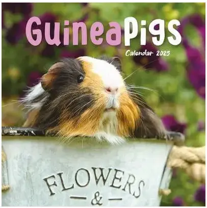 Guinea Pigs Mini Wall 2025 (PFP)