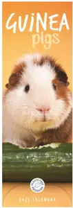 Guinea Pigs Slim Calendar 2025 (PFP)