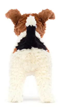 Hector Fox Terrier - image 2