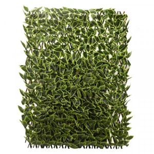 Hosta Leaf Trellis 180 x 60 cm - image 3