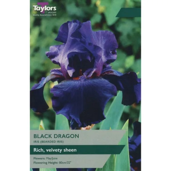 Iris Black Dragon 1 Bulb