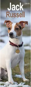 Jack Russell Slim Calendar 2025 (PFP)