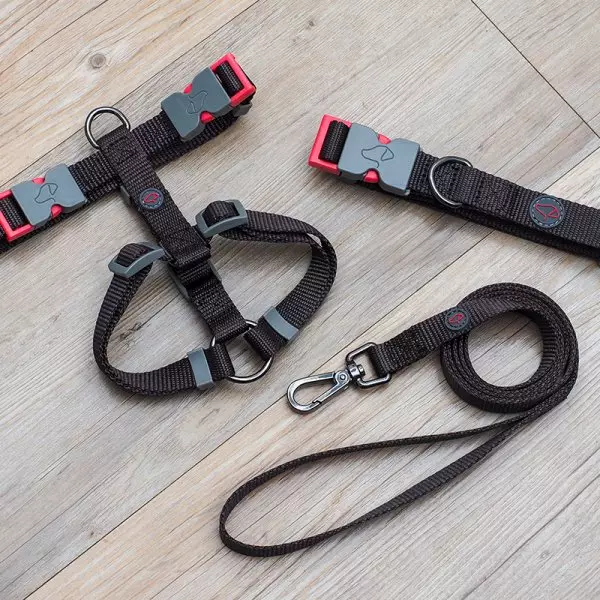 Garden hotsell dog lead