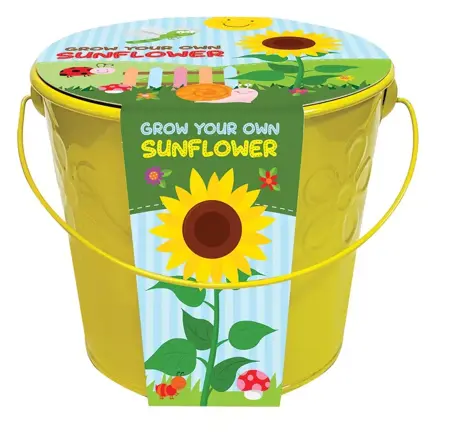 Kids Gyo Sunflowers