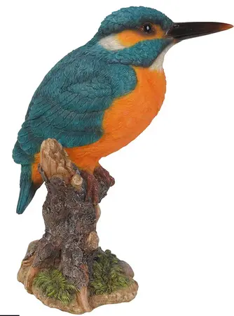 Kingfisher on Stump F