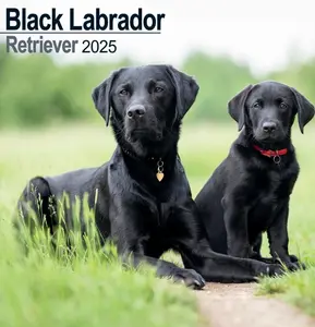 Labrador Retriever Black Wall Calendar 2025 (PFP)