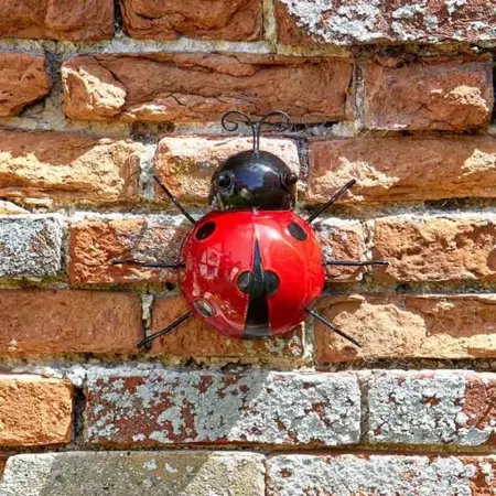 Ladybird - Large