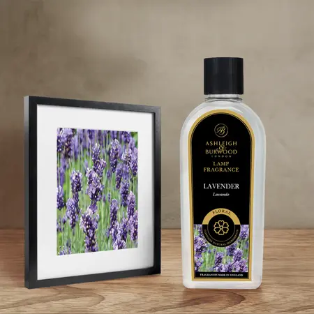 Lavender Lamp Fragrance 500ml